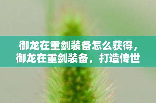 御龙在重剑装备怎么获得，御龙在重剑装备，打造传世之兵，成就王者之路