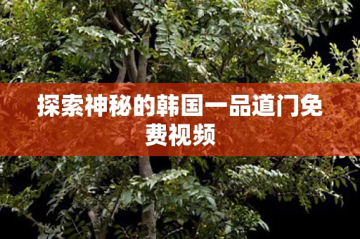 探索神秘的韩国一品道门免费视频图片