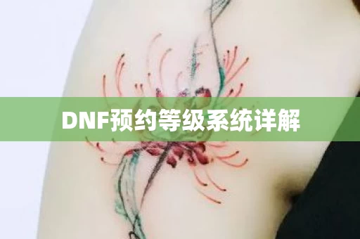 DNF预约等级系统详解图片