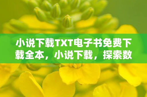 小说下载TXT电子书免费下载全本，小说下载，探索数字时代的阅读新方式