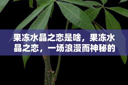 果冻水晶之恋是啥，果冻水晶之恋，一场浪漫而神秘的爱情传说