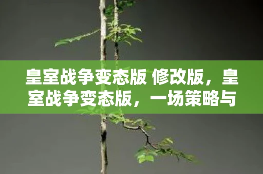 皇室战争变态版 修改版，皇室战争变态版，一场策略与智慧的较量