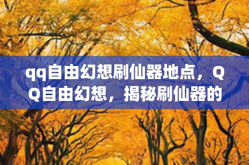 qq自由幻想刷仙器地点，QQ自由幻想，揭秘刷仙器的正确姿势