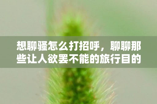 想聊骚怎么打招呼，聊聊那些让人欲罢不能的旅行目的地