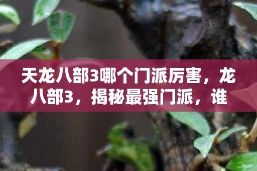 天龙八部3哪个门派厉害，龙八部3，揭秘最强门派，谁才是江湖霸主？