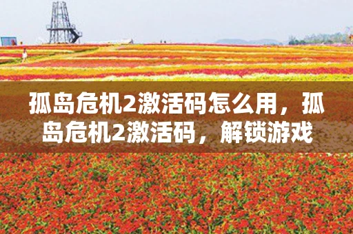 孤岛危机2激活码怎么用，孤岛危机2激活码，解锁游戏世界的钥匙