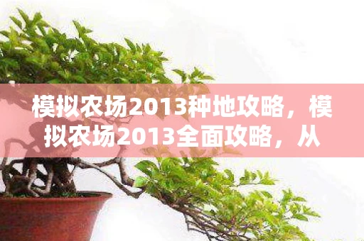 模拟农场2013种地攻略，模拟农场2013全面攻略，从新手到高手的进阶之路