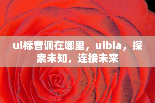 ui标音调在哪里，uibia，探索未知，连接未来