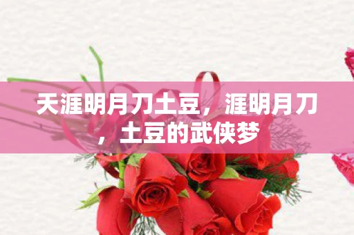 天涯明月刀土豆，涯明月刀，土豆的武侠梦