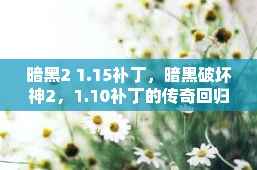 暗黑2 1.15补丁，暗黑破坏神2，1.10补丁的传奇回归
