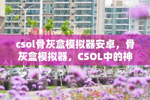 csol骨灰盒模拟器安卓，骨灰盒模拟器，CSOL中的神秘宝藏
