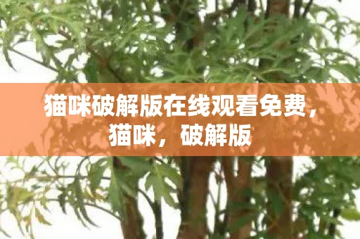 猫咪破解版在线观看免费，猫咪，破解版