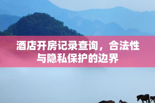 酒店开房记录查询，合法性与隐私保护的边界