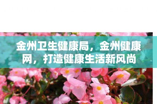 金州卫生健康局，金州健康网，打造健康生活新风尚