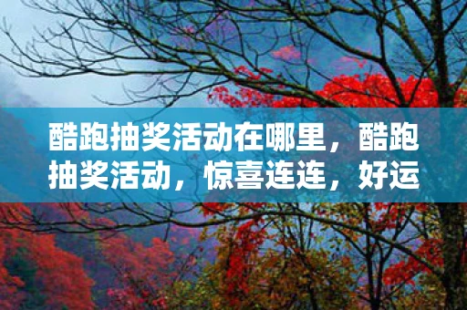 酷跑抽奖活动在哪里，酷跑抽奖活动，惊喜连连，好运不断！