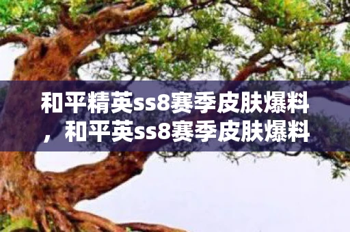 和平精英ss8赛季皮肤爆料，和平英ss8赛季皮肤爆料，全新主题与炫酷特效，你准备好了吗？