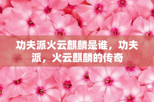 功夫派火云麒麟是谁，功夫派，火云麒麟的传奇