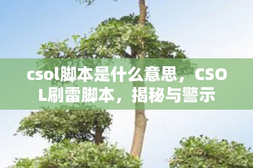 csol脚本是什么意思，CSOL刷雷脚本，揭秘与警示