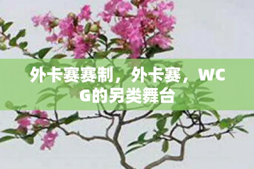 外卡赛赛制，外卡赛，WCG的另类舞台