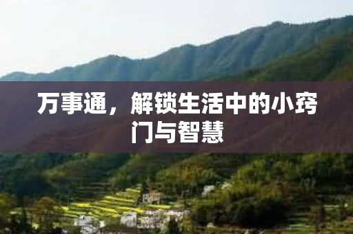 万事通，解锁生活中的小窍门与智慧