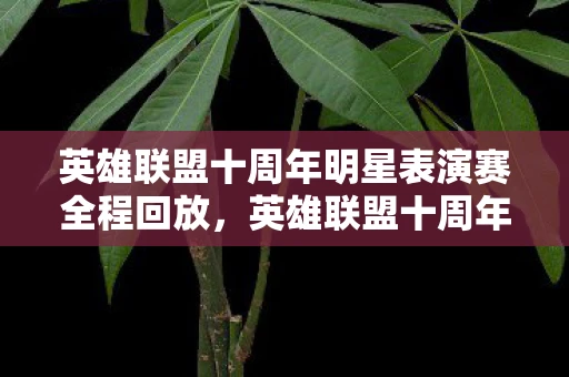 英雄联盟十周年明星表演赛全程回放，英雄联盟十周年明星表演赛，回忆与未来的碰撞