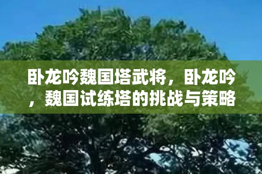 卧龙吟魏国塔武将，卧龙吟，魏国试练塔的挑战与策略