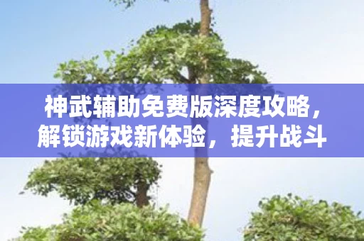 神武辅助免费版深度攻略图片