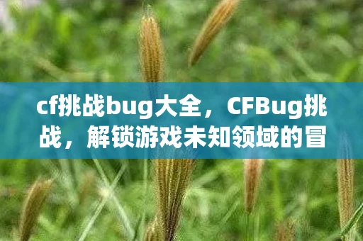 cf挑战bug大全，CFBug挑战，解锁游戏未知领域的冒险