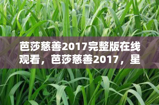 芭莎慈善2017完整版在线观看，芭莎慈善2017，星光熠熠，共筑爱心桥梁
