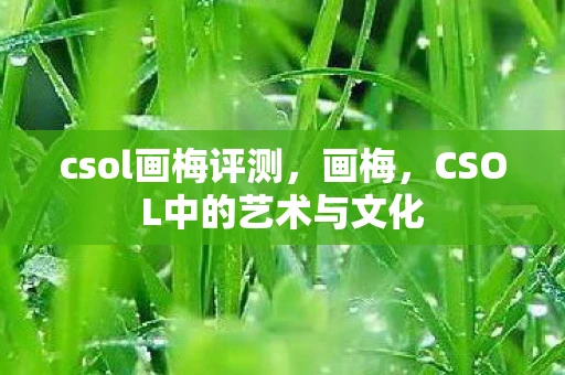 csol画梅评测，画梅，CSOL中的艺术与文化