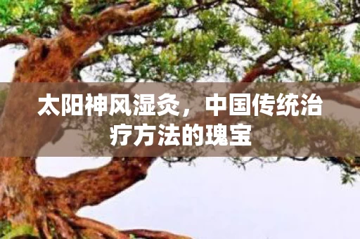 中国传统治疗方法的瑰宝图片