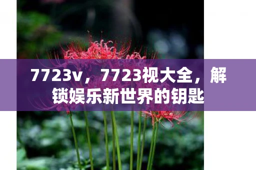 7723v，7723视大全，解锁娱乐新世界的钥匙