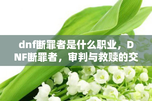 dnf断罪者是什么职业，DNF断罪者，审判与救赎的交织