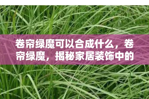 卷帘绿魔可以合成什么，卷帘绿魔，揭秘家居装饰中的自然美学