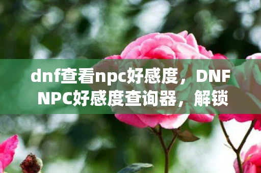 dnf查看npc好感度，DNF NPC好感度查询器，解锁游戏新乐趣的必备工具