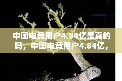 中国电竞用户4.84亿是真的吗，中国电竞用户4.84亿，电竞产业背后的巨大潜力与挑战