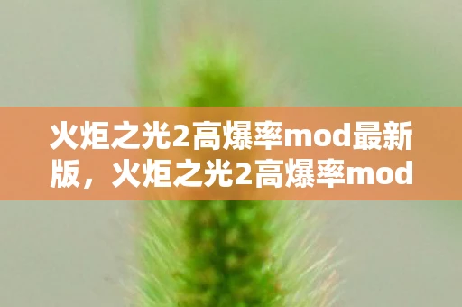 火炬之光2高爆率mod最新版，火炬之光2高爆率mod，打造你的专属游戏天堂
