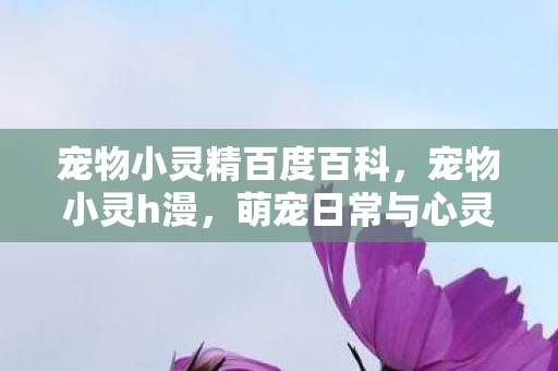 宠物小灵精百度百科，宠物小灵h漫，萌宠日常与心灵治愈之旅