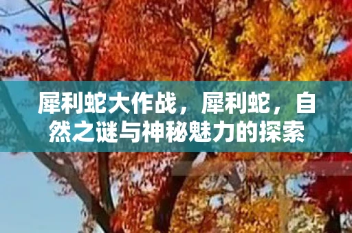 犀利蛇大作战，犀利蛇，自然之谜与神秘魅力的探索