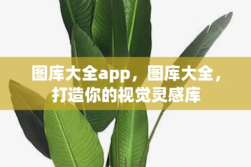 图库大全app，图库大全，打造你的视觉灵感库