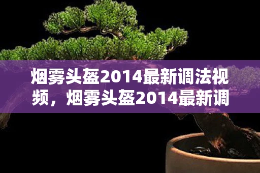 烟雾头盔2014最新调法视频，烟雾头盔2014最新调法揭秘