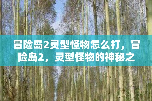 冒险岛2灵型怪物怎么打，冒险岛2，灵型怪物的神秘之旅
