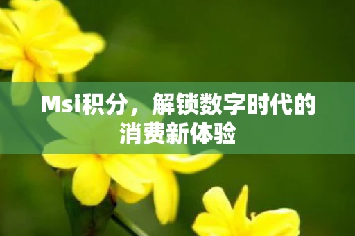 Msi积分，解锁数字时代的消费新体验