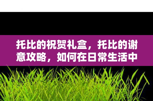托比的祝贺礼盒，托比的谢意攻略，如何在日常生活中表达感激之情
