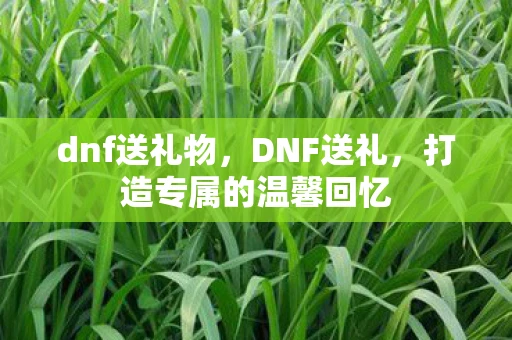 dnf送礼物，DNF送礼，打造专属的温馨回忆