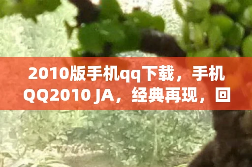 2010版手机qq下载，手机QQ2010 JA，经典再现，回忆杀来袭