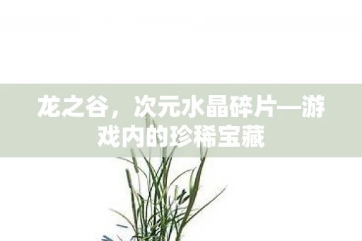 游戏内的珍稀宝藏图片