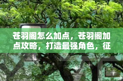苍羽阁怎么加点，苍羽阁加点攻略，打造最强角色，征服游戏世界