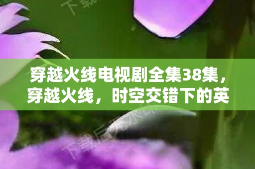 穿越火线电视剧全集38集，穿越火线，时空交错下的英雄传奇