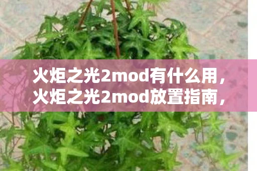 火炬之光2mod有什么用，火炬之光2mod放置指南，打造你的专属游戏世界